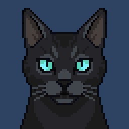 Shade the cat companion